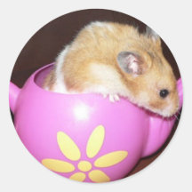 Hamster i Teakrukaklistermärke