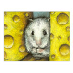 Hamster på en osthylla vykort