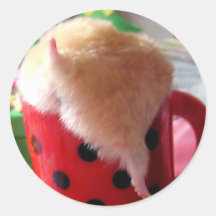 Hamsterända Klistermärke