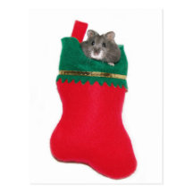 Hamsterjulstrumpa Vykort