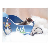 Hamsternoah sledding vykort