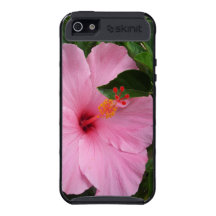 Hanauma fjärd Hawaii