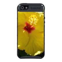 Hanauma fjärd Hawaii