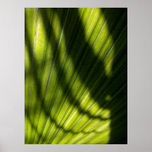 Handflatan skuggar print