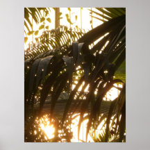 Handflatan tänder posters