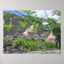 Hängande blommor affisch