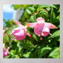 Hängande blommor affischer