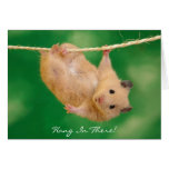 Hängning in där! Hamster Hälsningskort