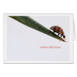 Happy Birthday Card Ladybird Grußkarte