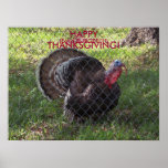 HAPPY THANKSGIVING! , (äta en hamburgare), affisch