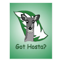 HarHosta? Vykort