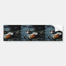 Harlequinanka Bildekaler