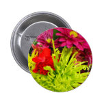 härlig chrysanthemum nål