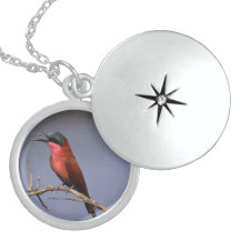Härlig fågelhalsbandLocket