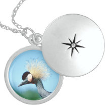 Härlig fågelhalsbandLocket