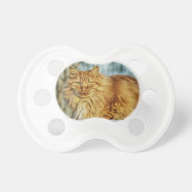 Härlig katt barn napp