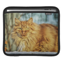 Härlig katt iPad sleeve