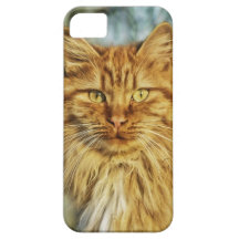 Härlig katt iPhone 5 Case-Mate cases