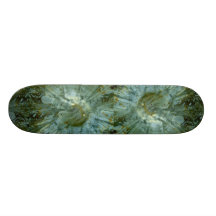 Härlig mun av en klubbad anemon skate deck