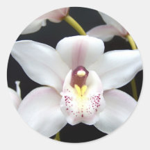 Härlig Orchid Runda Klistermärken