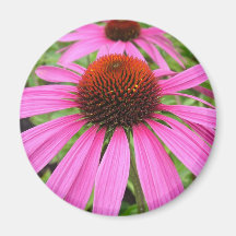 härlig rosa lila blommor kylskåpsnagnet
