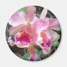 Härlig rosa Orchidmagnet Kylskåpsnagnet