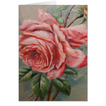 Härlig rosa ros tomma Notecard Hälsningskort