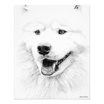 Härlig Samoyedhundkonst Fotontryck