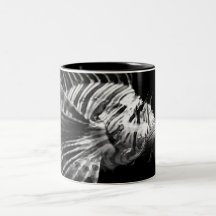 Härlig svartvit Lionfish Muggar