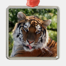 Härlig tiger julgransdekorationer
