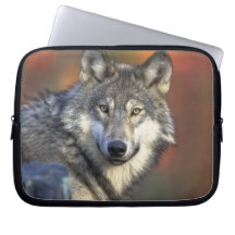 Härlig varg laptop datorskydd
