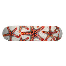 Härlig vibrerande röd sjöliv för sjöstjärnaSandhav Skate Board Deck