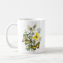 Härliga fjärilar kaffe koppar