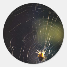 Härliga foto av fjärilsklistermärkear 1