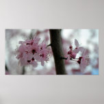 Härliga körsbärsröda blommarblommor print