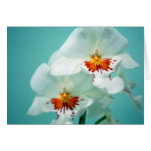 Härliga Orchids noterar kortet