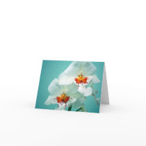 Härliga Orchids noterar kortet
