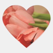HÄRLIGA ROSA TULPAN KLISTERMÄRKEN