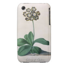 Härlighet av Chilton (gouachen på vellängpapper) iPhone 3 Case-Mate Cases