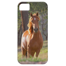 Härligt fodral för hästiPhone 5 för hästälskare iPhone 5 Fodral