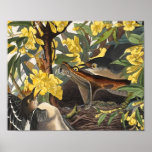 Härmfåglar John James Audubon Affisch