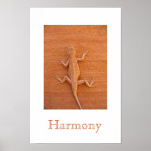 Harmoni Posters