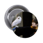 Harry och Hedwig 3 knappar