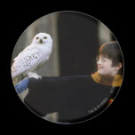 Harry och Hedwig 3 magneter