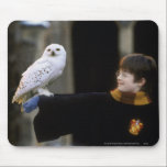 Harry och Hedwig 3 musmattor