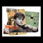 Harry Potter 13 affischer