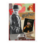 Harry Potter Affischer 