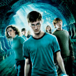 Harry Potter Magneter