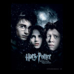Harry Potter filmaffisch affischer