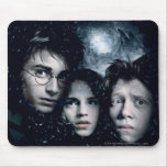 Harry Potter filmaffisch Mus Mattor